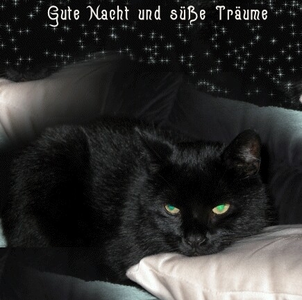 Gute Nacht