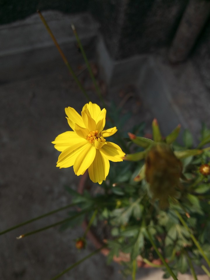 #photography#new phone