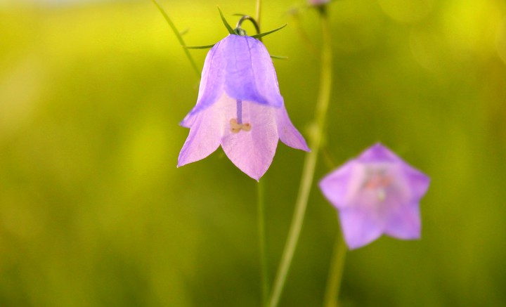 Sommer,,?