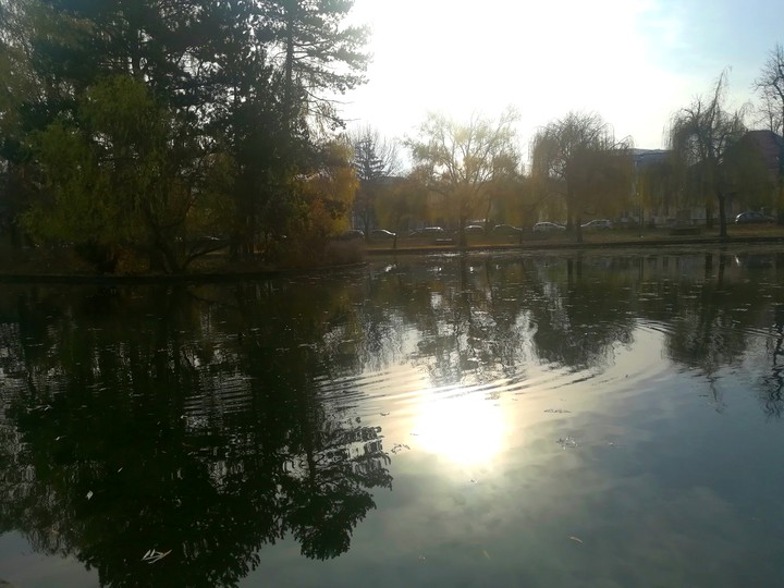 Sunny winter morning