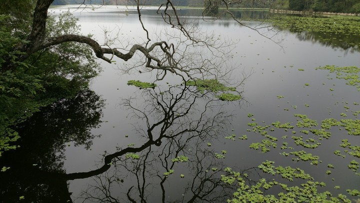 Lake 2