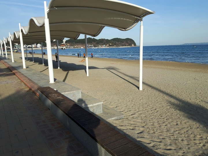 Sea