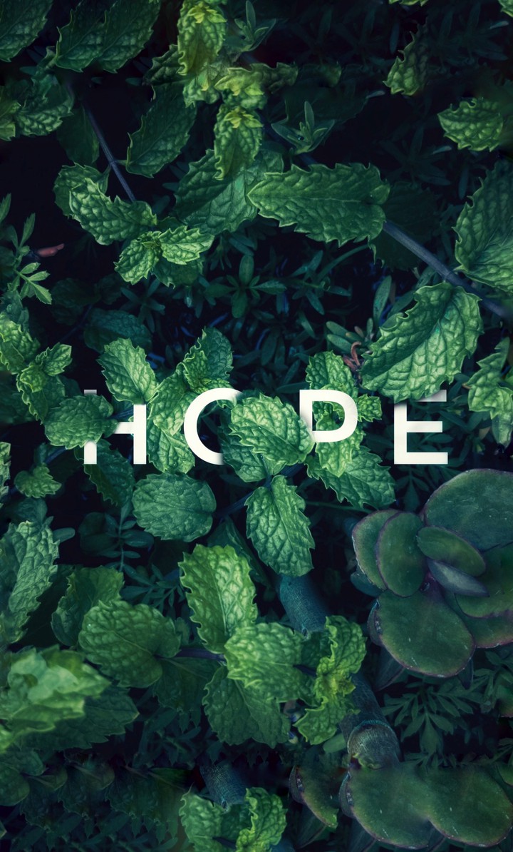 green leaves