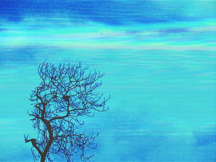 digital