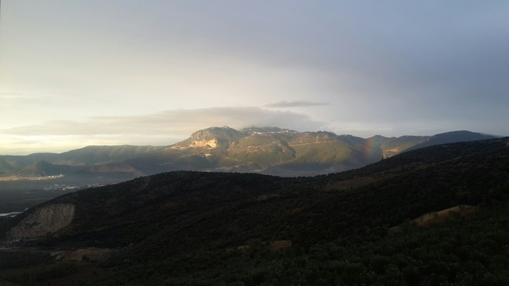 Foggy mountain