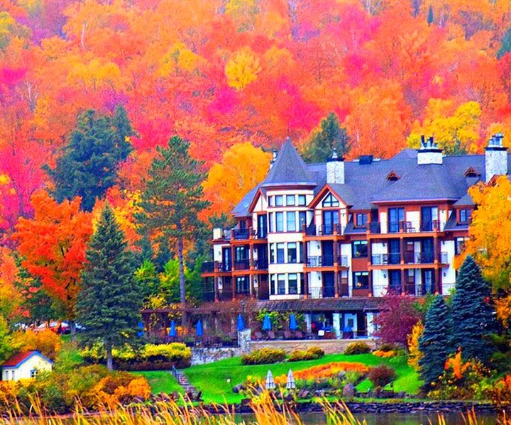 autumn 