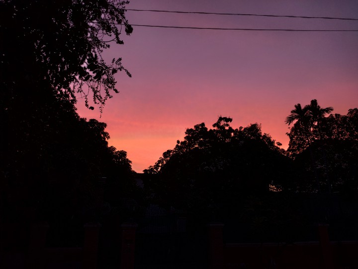Evening Shade