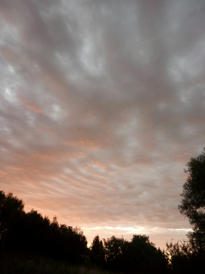 Sky pink and grey