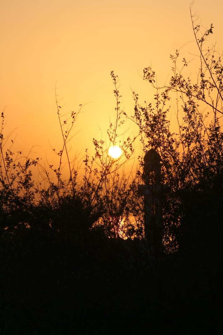 sun rise