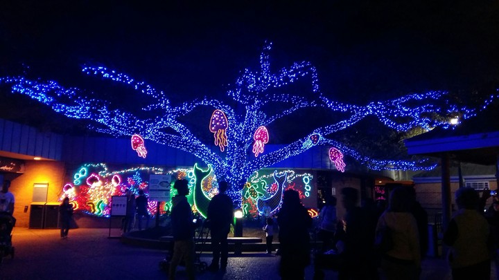 blue lights