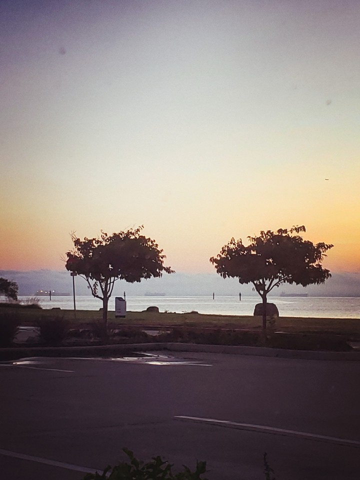 Beautiful Morning