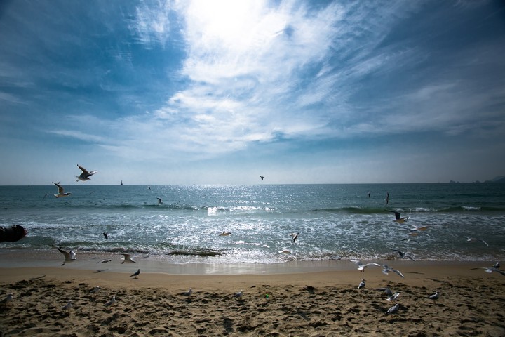 sea