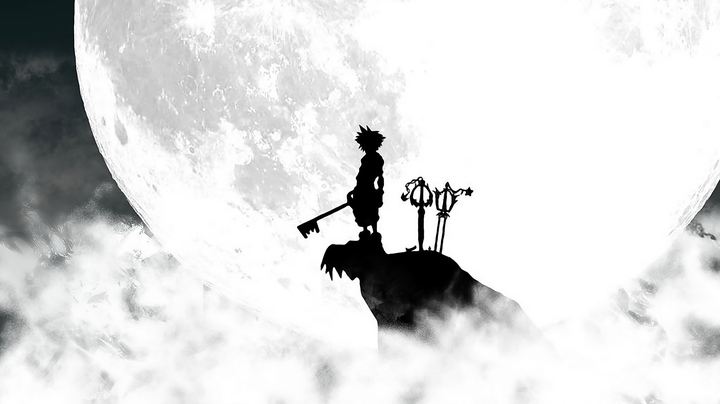 Kingdom Hearts Sora Shilouett