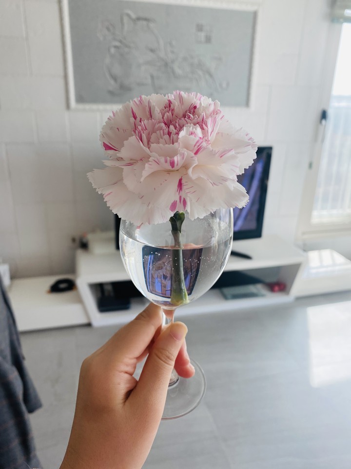 Do you wanna drink a cup of flower?