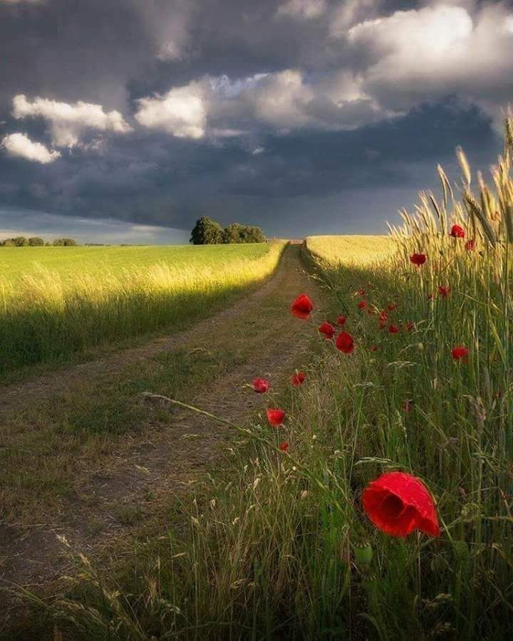 ❤