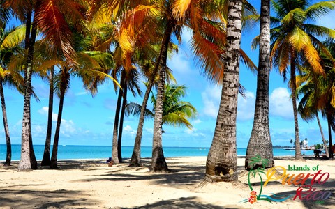 Isla Verde Beach - Puerto Rico