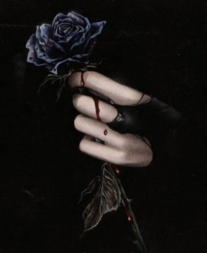Black rose