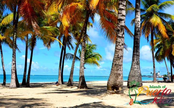 Isla Verde Beach - Puerto Rico