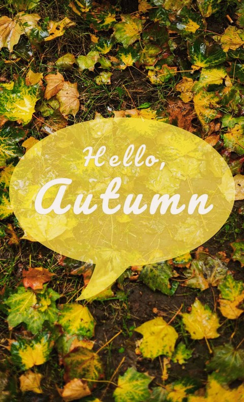 Hello, Autumn!