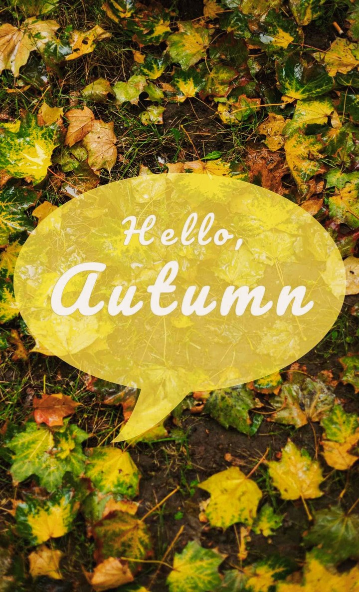 Hello, Autumn!