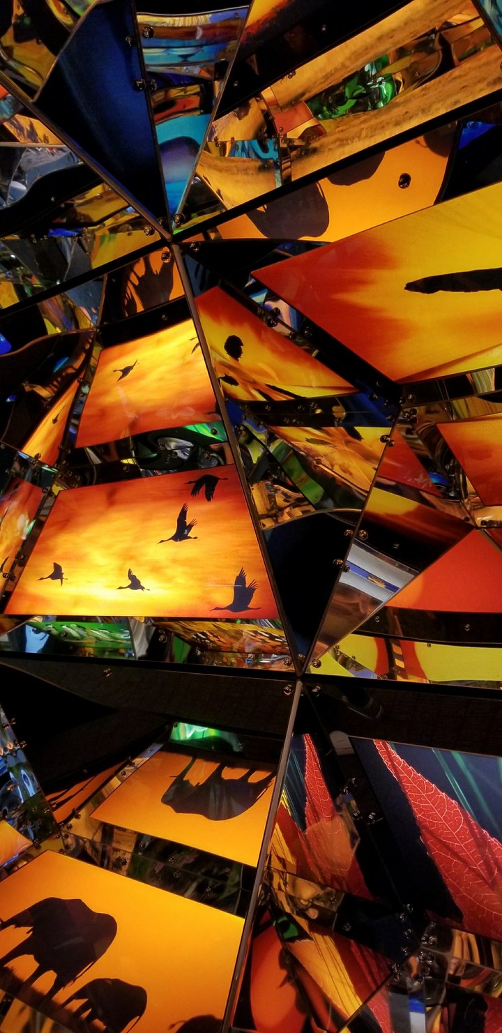 Wildlife Kaleidoscope