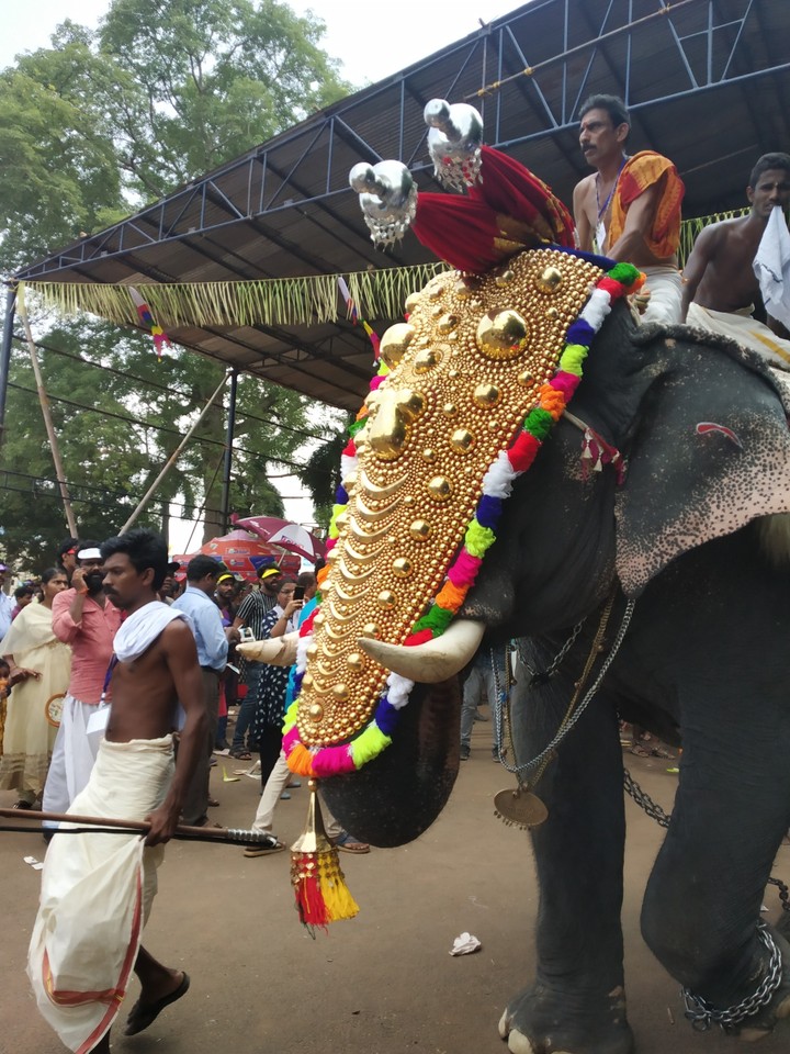 Thrissur Pooram