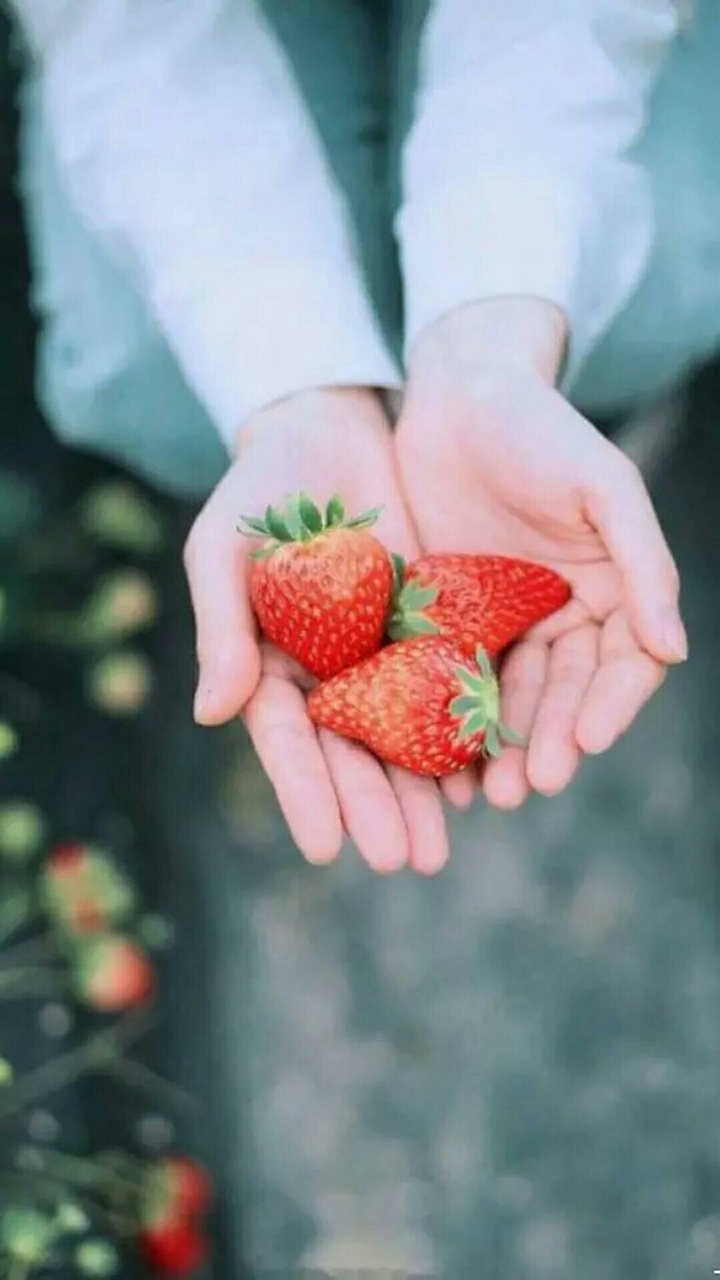 Strawberries 