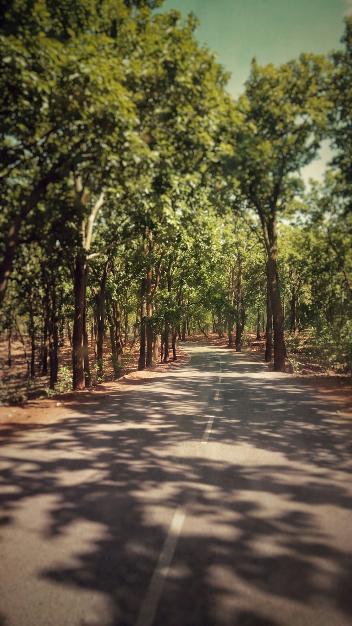 Unexplored paths
