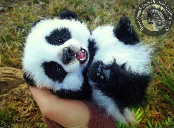panda