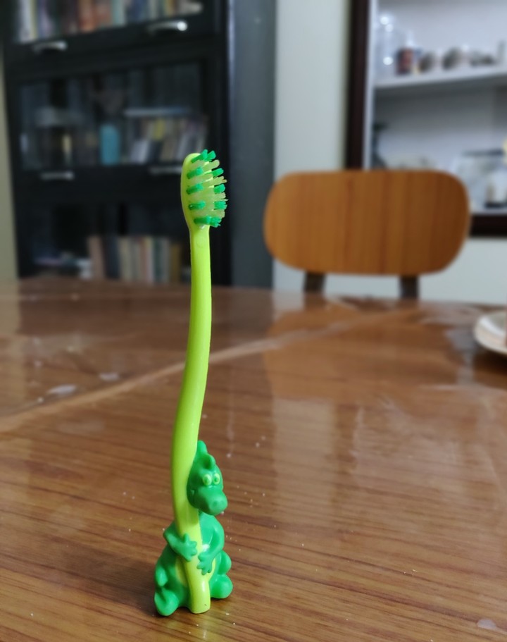 little dragon brush