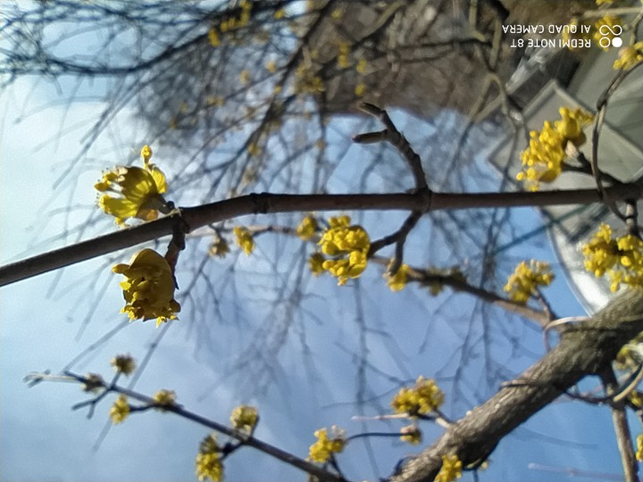 Spring!