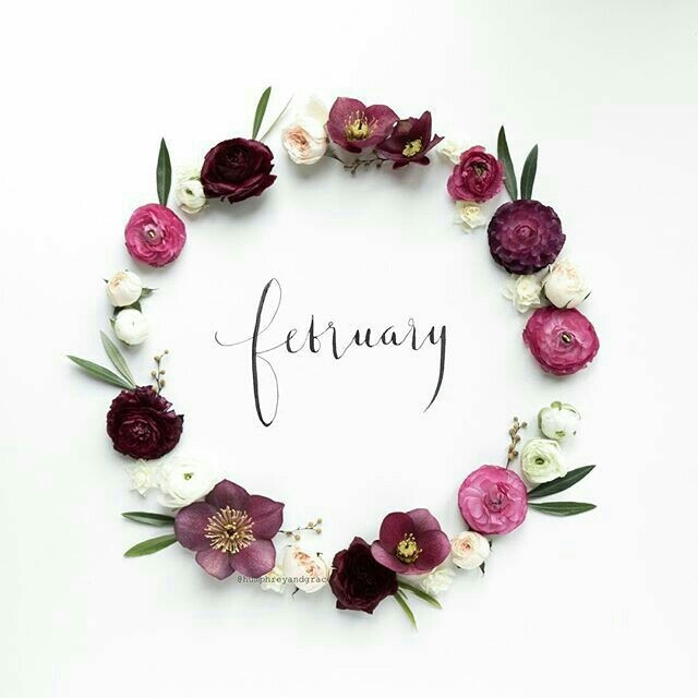 February #3