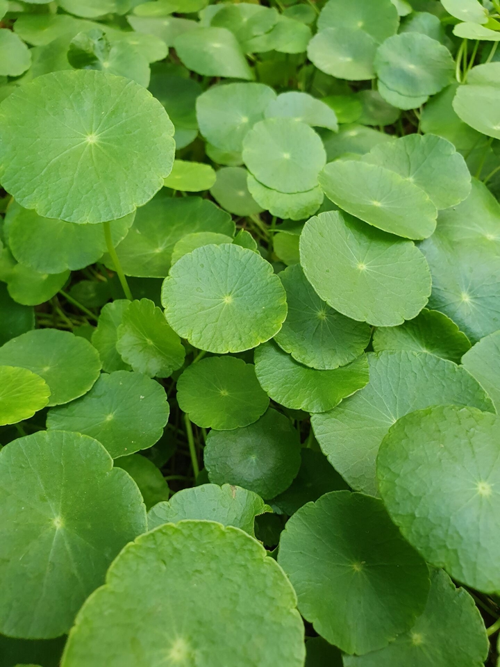 有