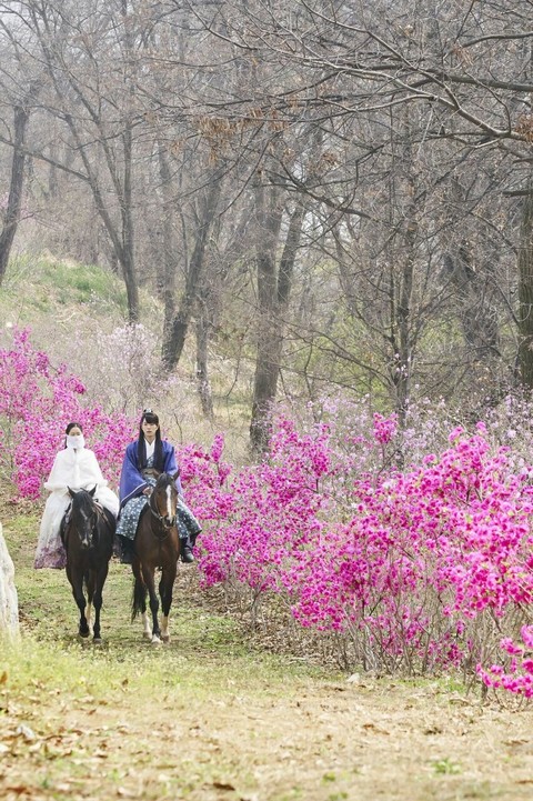 spring