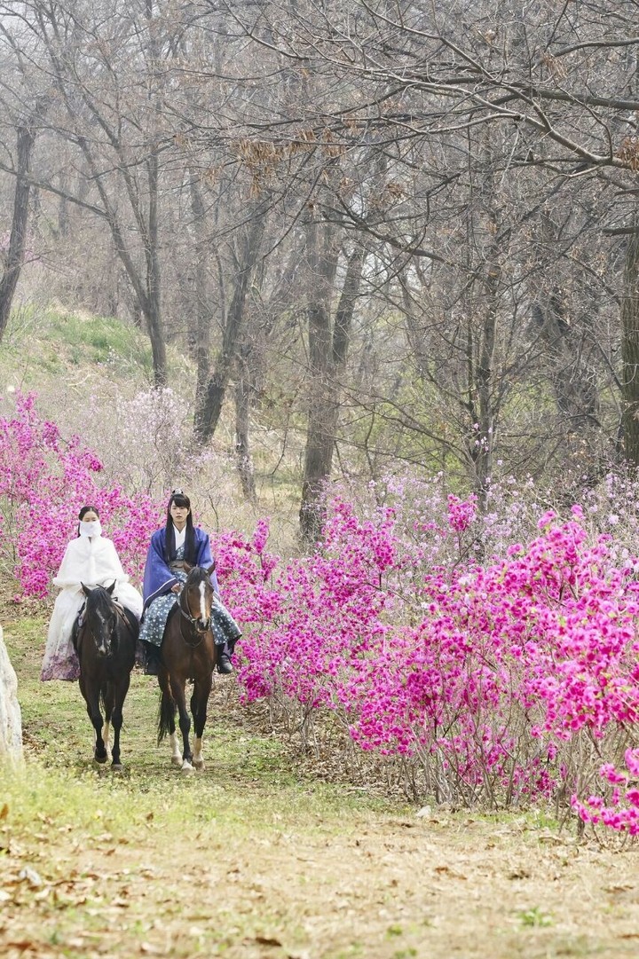 spring
