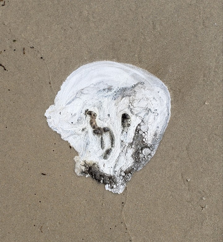 Melted Skull