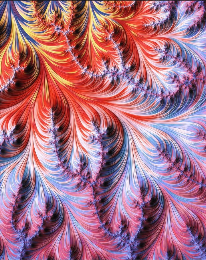 Fractal
