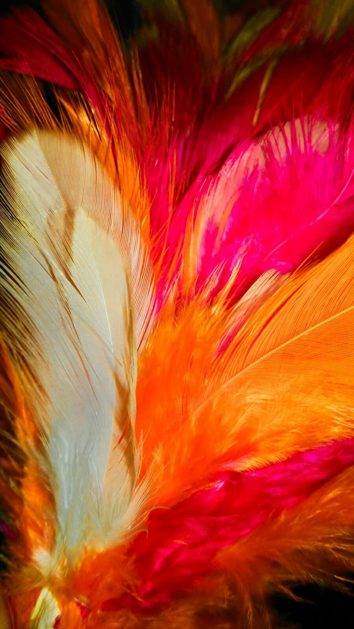 colorfull