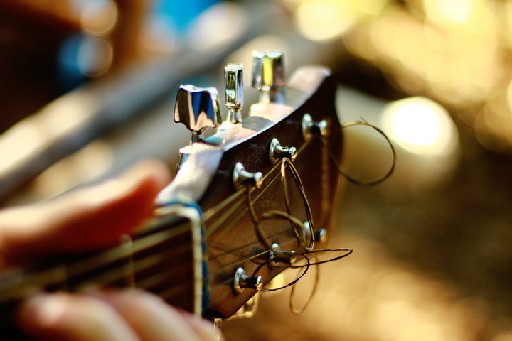 Guitar