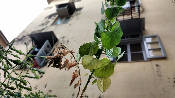 Life & Death