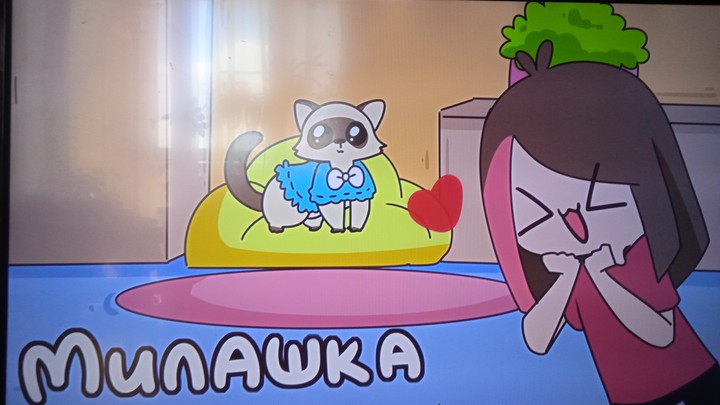 Хорёк