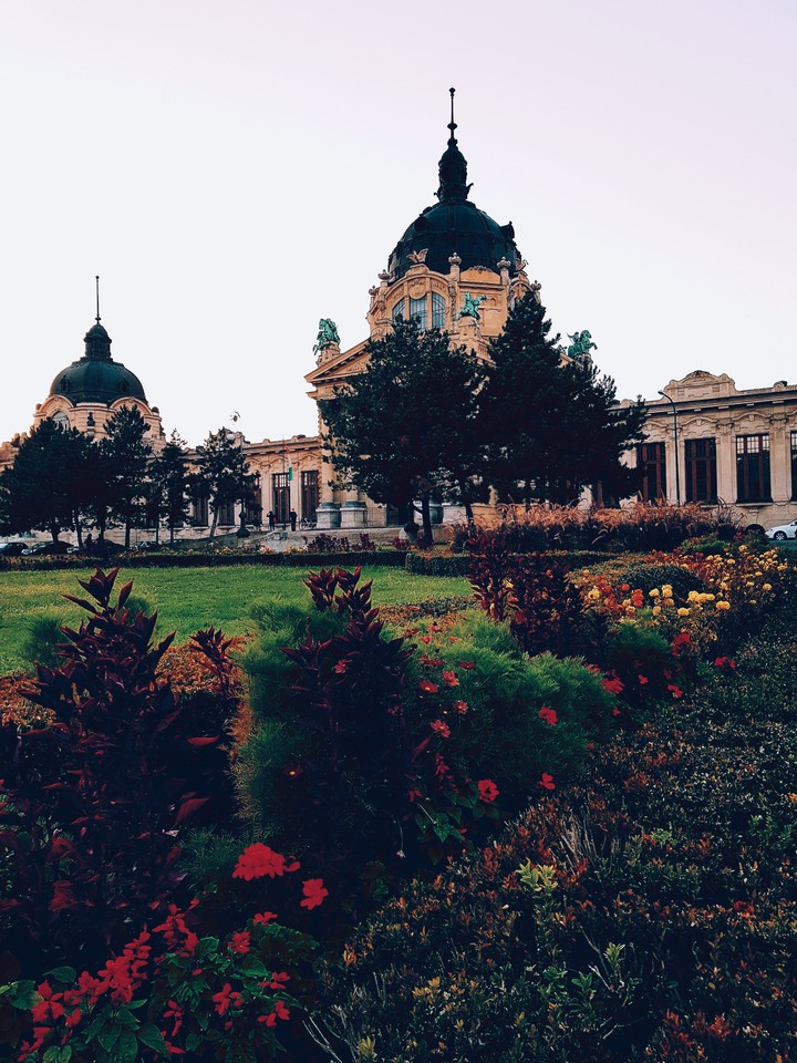 Купальни
