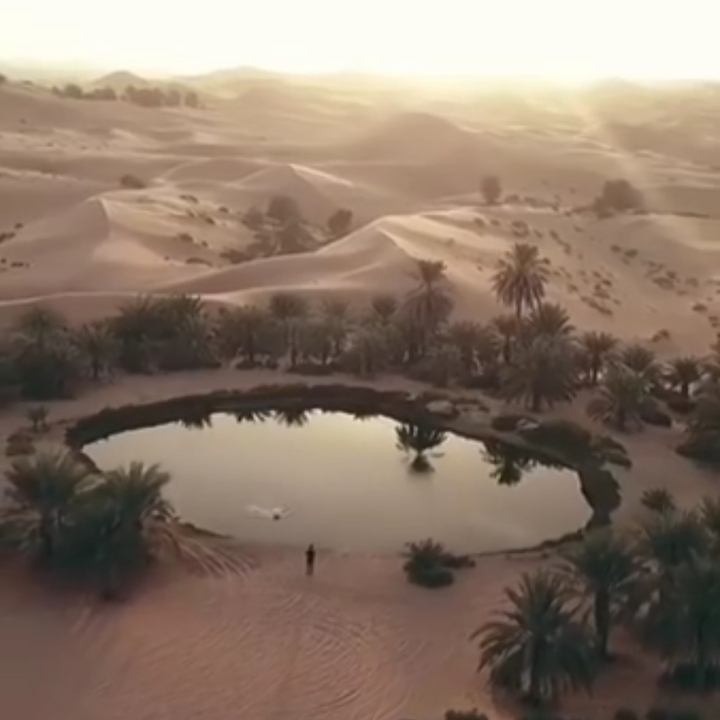 sahara