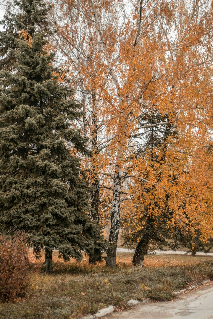 Beautiful autumn landscape.