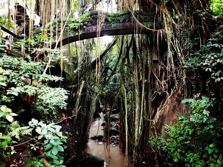 Deep into the forest!!