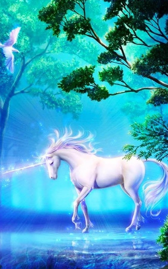 wonderfull