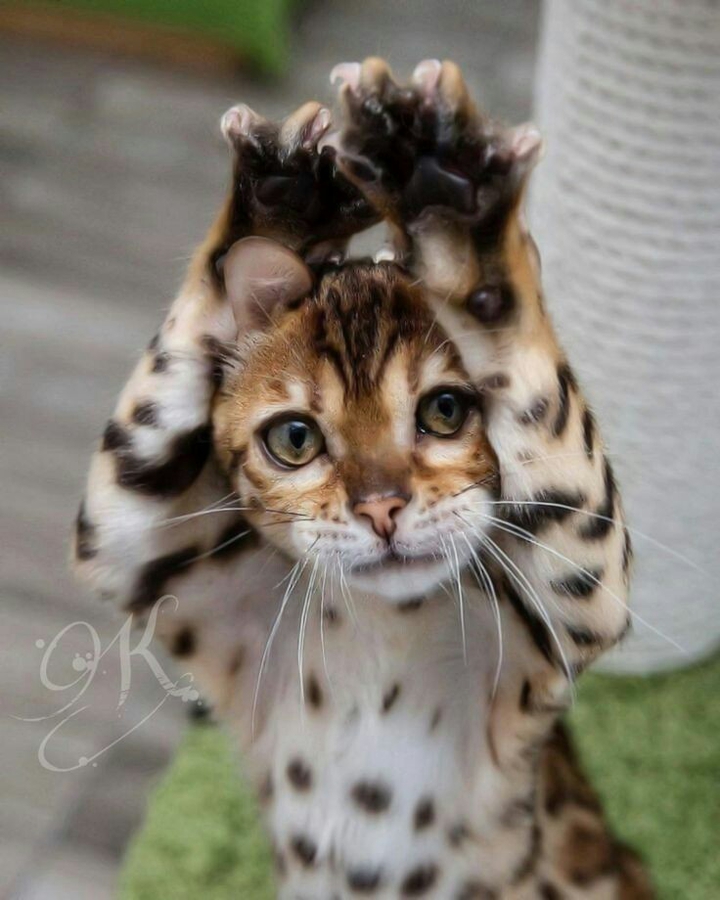 ❤❤❤