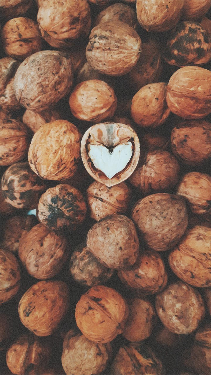 Walnut
