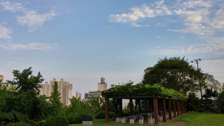 느긋한 오후