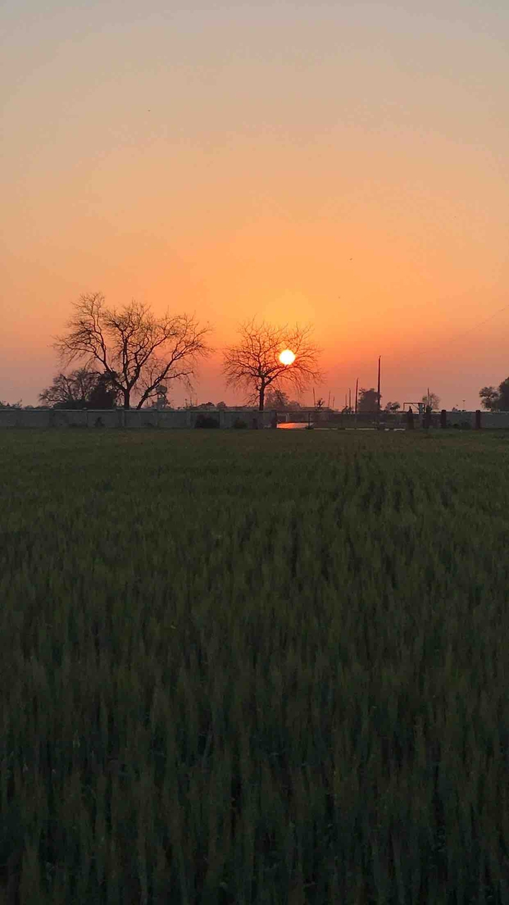 sunset